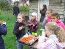 Gesztenye 4a_10