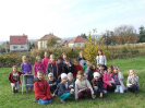 Gesztenye 4a_1