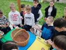 Fenntarthatósági projektnap