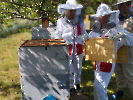 IMG_20250527_101443 (2)