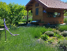 IMG_20250527_112039