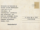Brown Vintage Holiday Postcard (1)